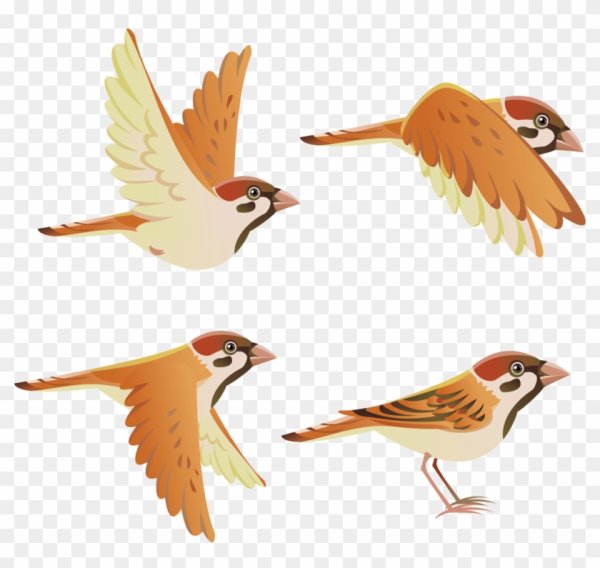 Мультяшные птицы в полете