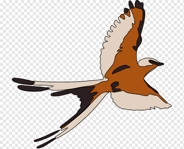 Птица в полёте мультяшная