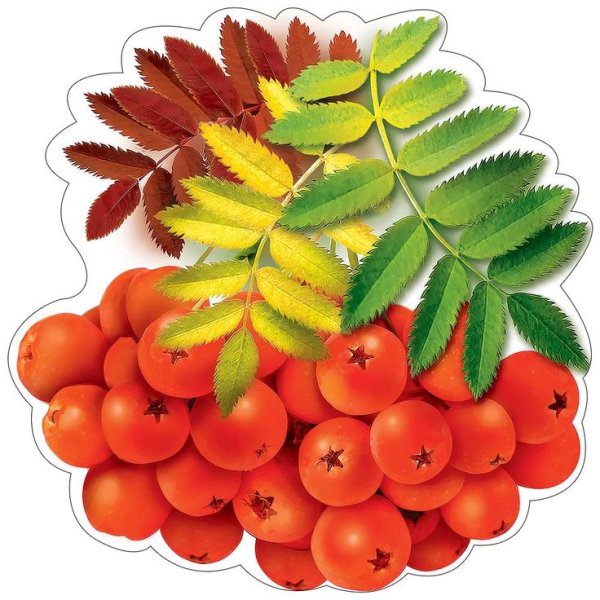 Осенние листья для украшения