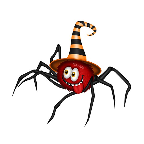 Веселый паучок