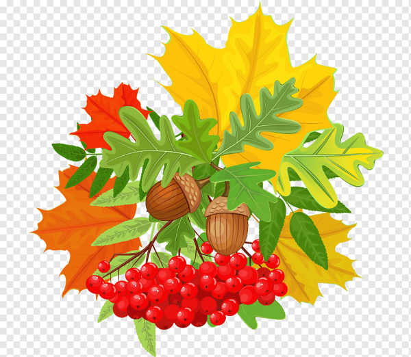 Дерево рябина осенью для детей