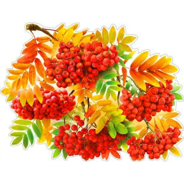 Дерево картинка для детей