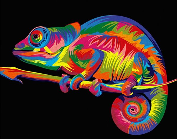 Картина по номерам еноты радужные