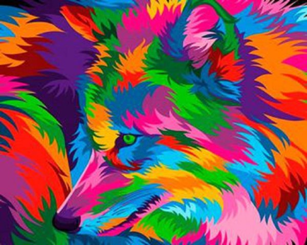 Лошади Марсии Болдуин