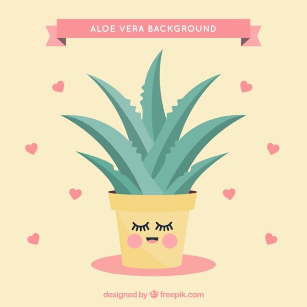 Рисование алоэ