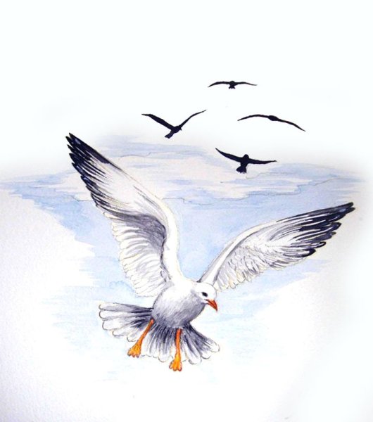 Чайки нарисованные