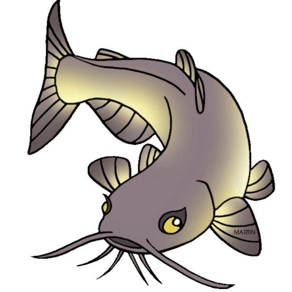 Рыба сом для детей