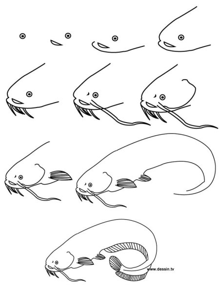 Сом рисунок