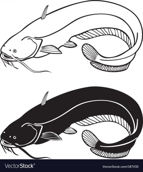 Трафарет сома