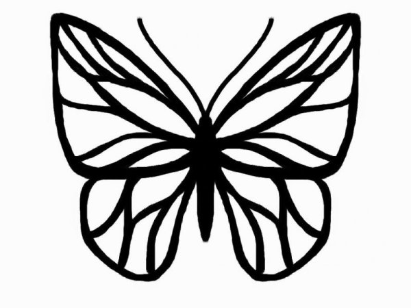 Трафареты бабочки