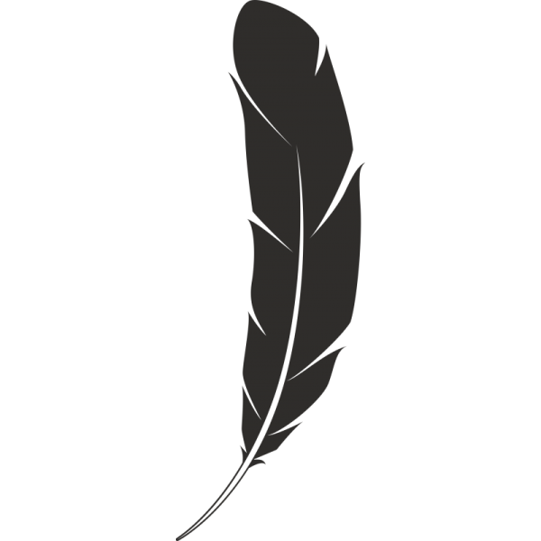 Перо черно белое