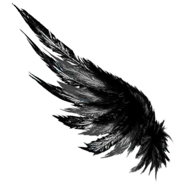 Воронье перо