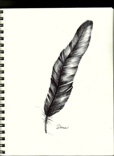 Перо вороны нарисовать