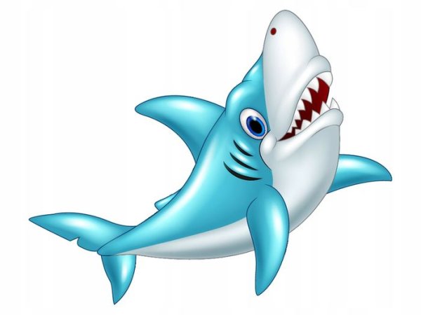 Акула рисунок для детей