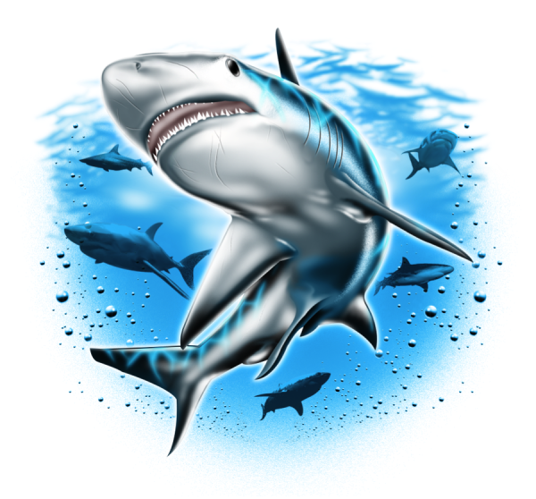 Акула рисунок