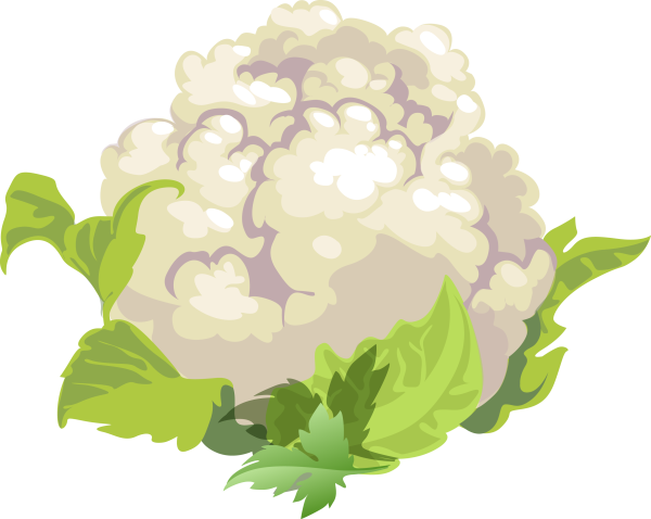 Цветная капуста вектор