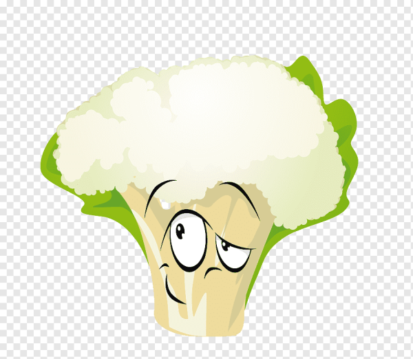 Цветная капуста рисунок