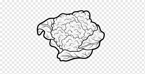 Капуста брокколи раскраска