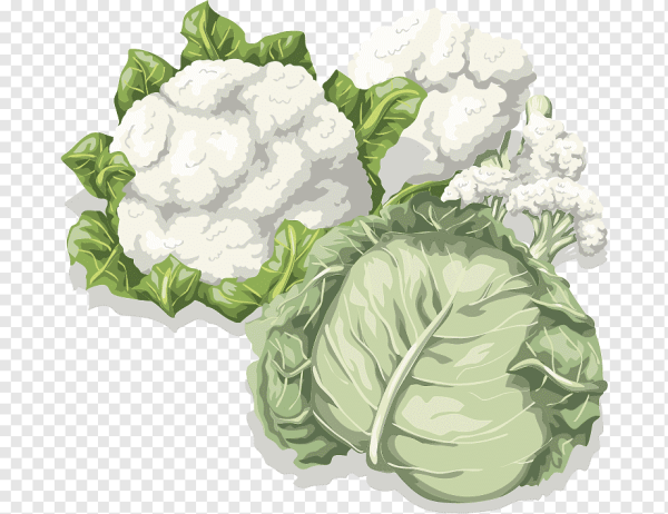 Этикетка цветная капуста