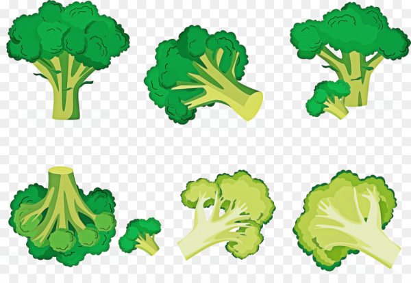 Брокколи иллюстрация