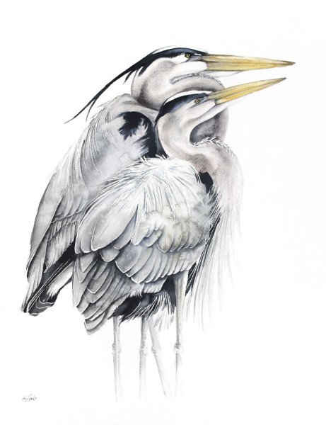 Рисование цапля