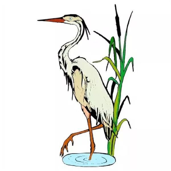 Цапля мультяшная