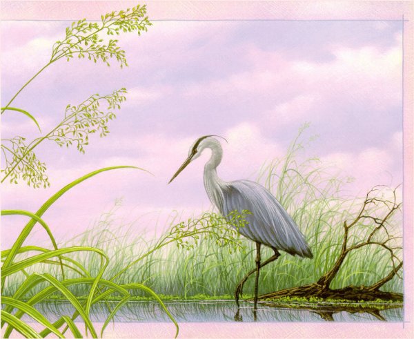 Цапля для детей