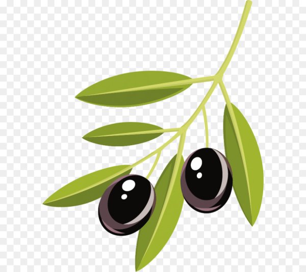 Ветка оливы