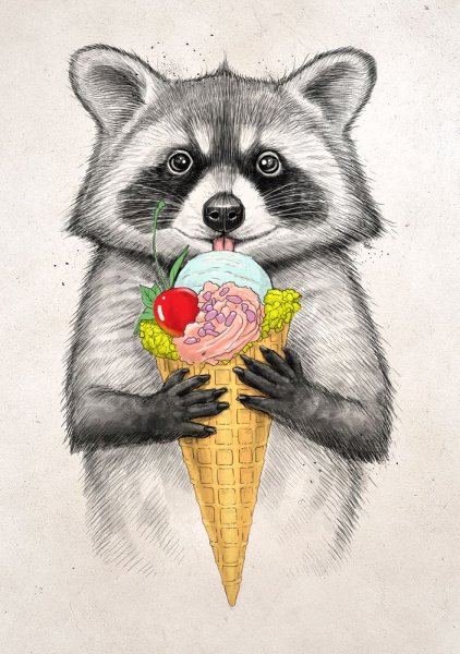 Енот цветными карандашами