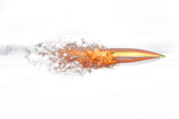 Пуля на прозрачном фоне