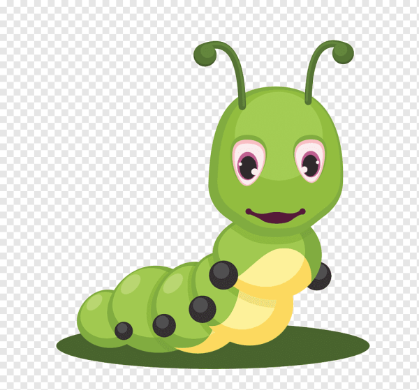 Гусеница для детей