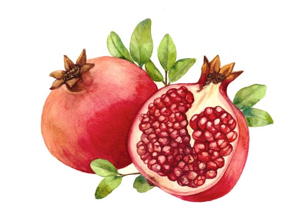 Гранат risunok