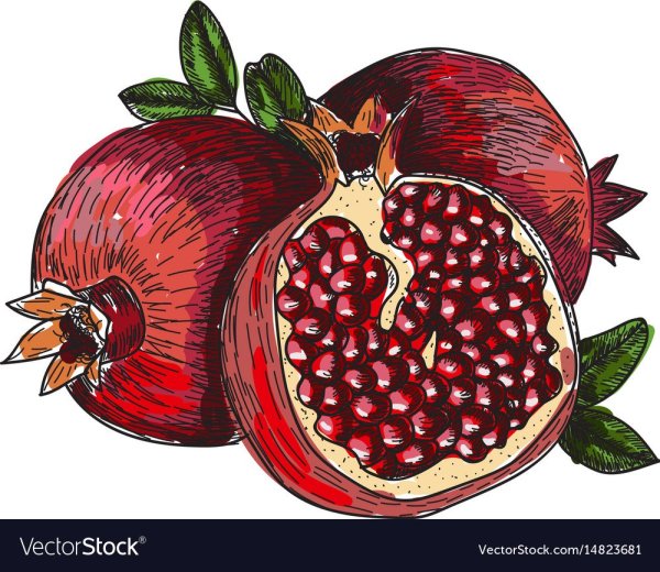 Гранат символ Армении стилизация