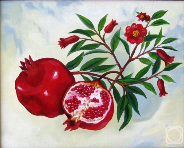 Гранат на ветке