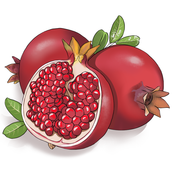 Мультяшная гранат