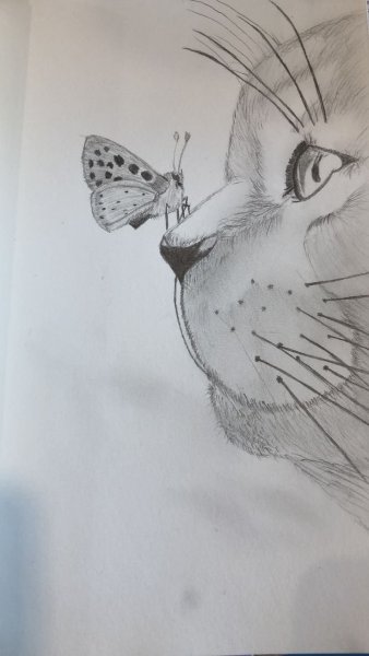 Легкие рисунки