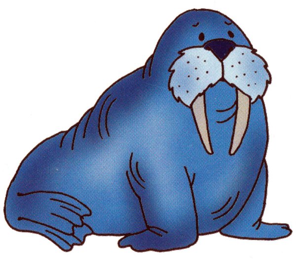 Морж для детей