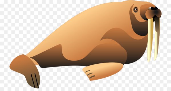 Морж силуэт