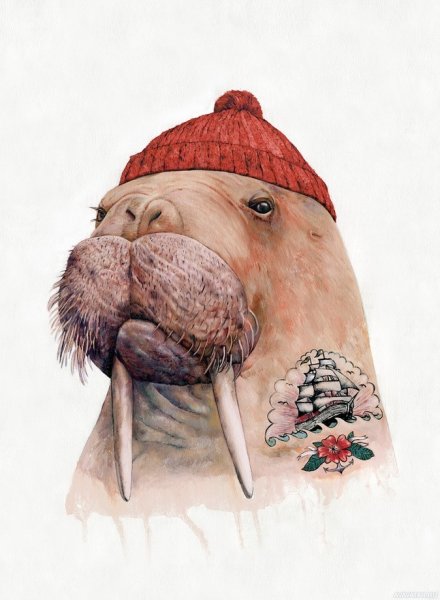 Картина моржа