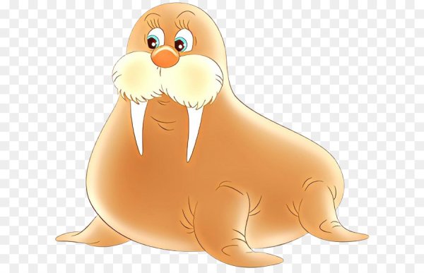 Моржи мультяшные