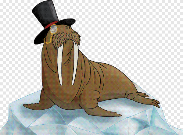 С днем рождения морж