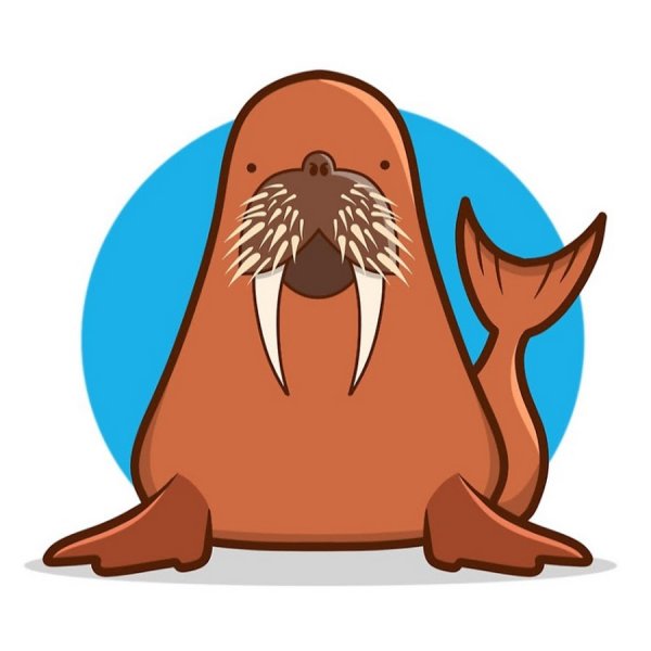 Миядзаки морж