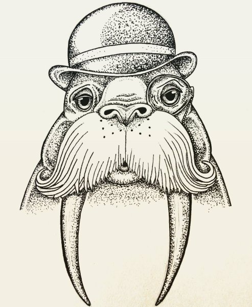 Морж мультяшный