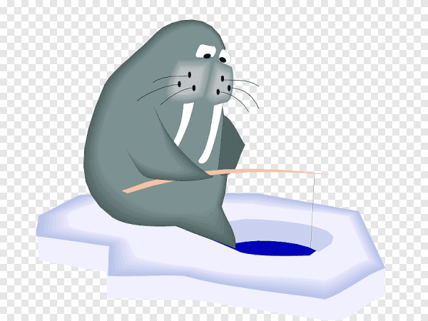 Морж для детей