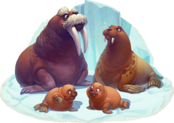 Морж карандашом