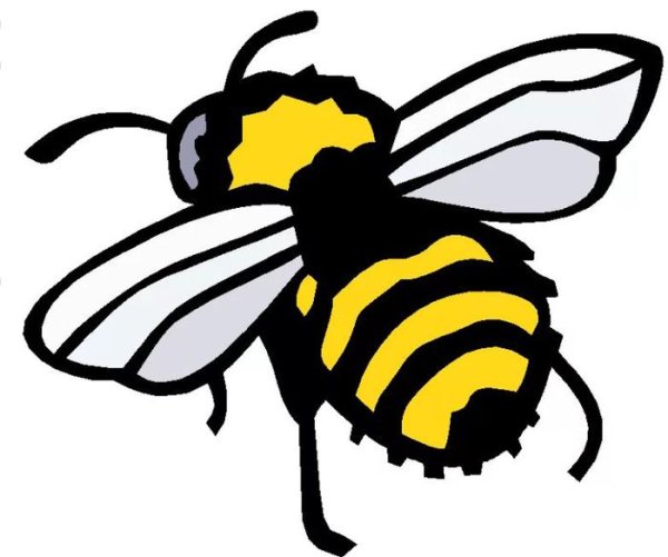 Шмель для срисовки