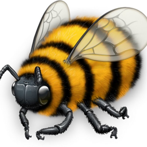 Пчела акварель