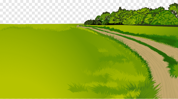 Извилистая дорога для детей