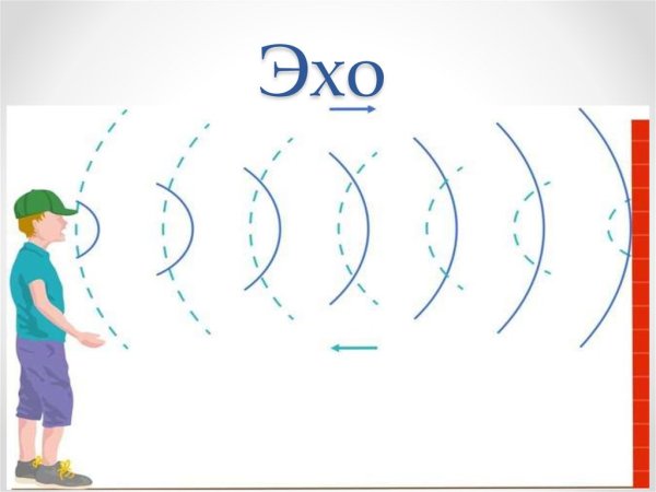 Эхо картинки