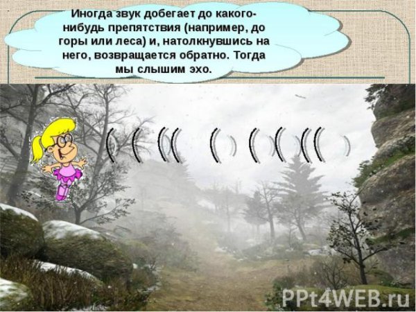 Эхо картинки